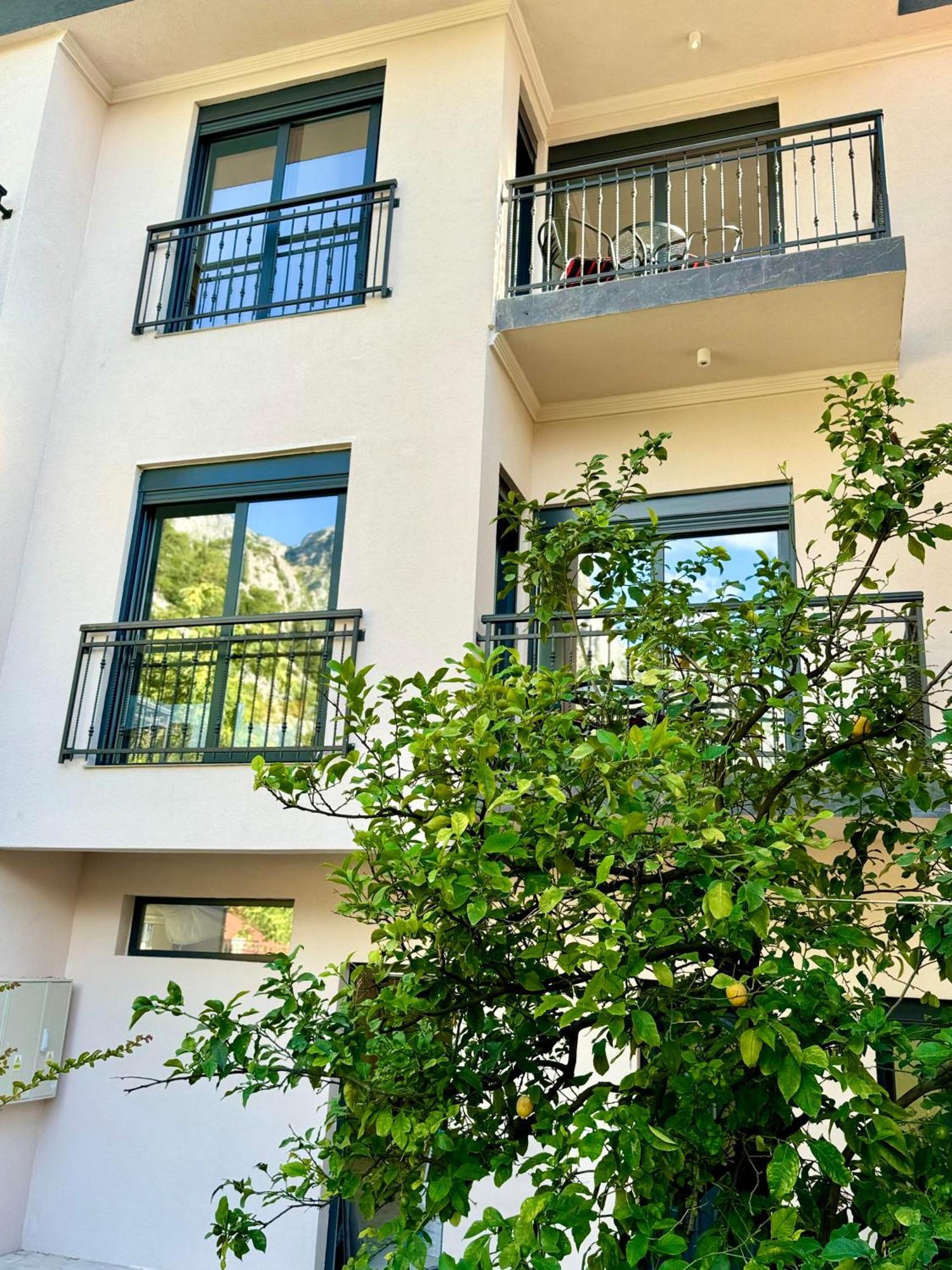 Harmony Garden Apartments Kotor Eksteriør billede