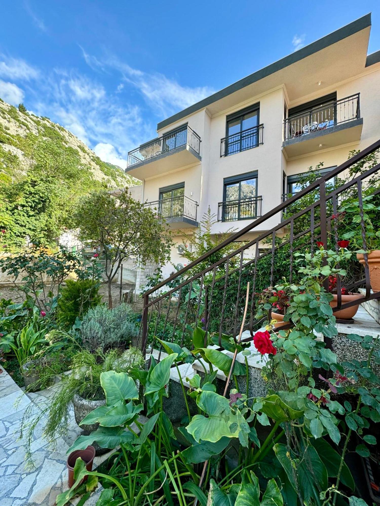 Harmony Garden Apartments Kotor Eksteriør billede
